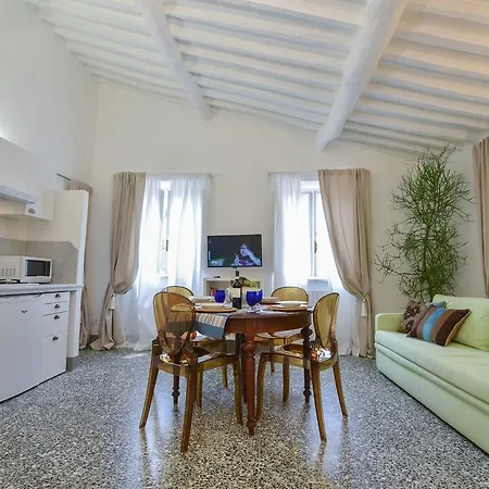 Dreaming Leonardo Lucca