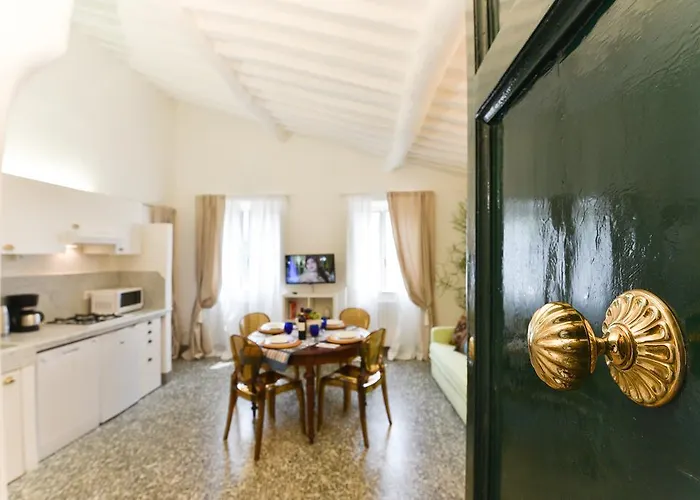 Dreaming Leonardo Lucca